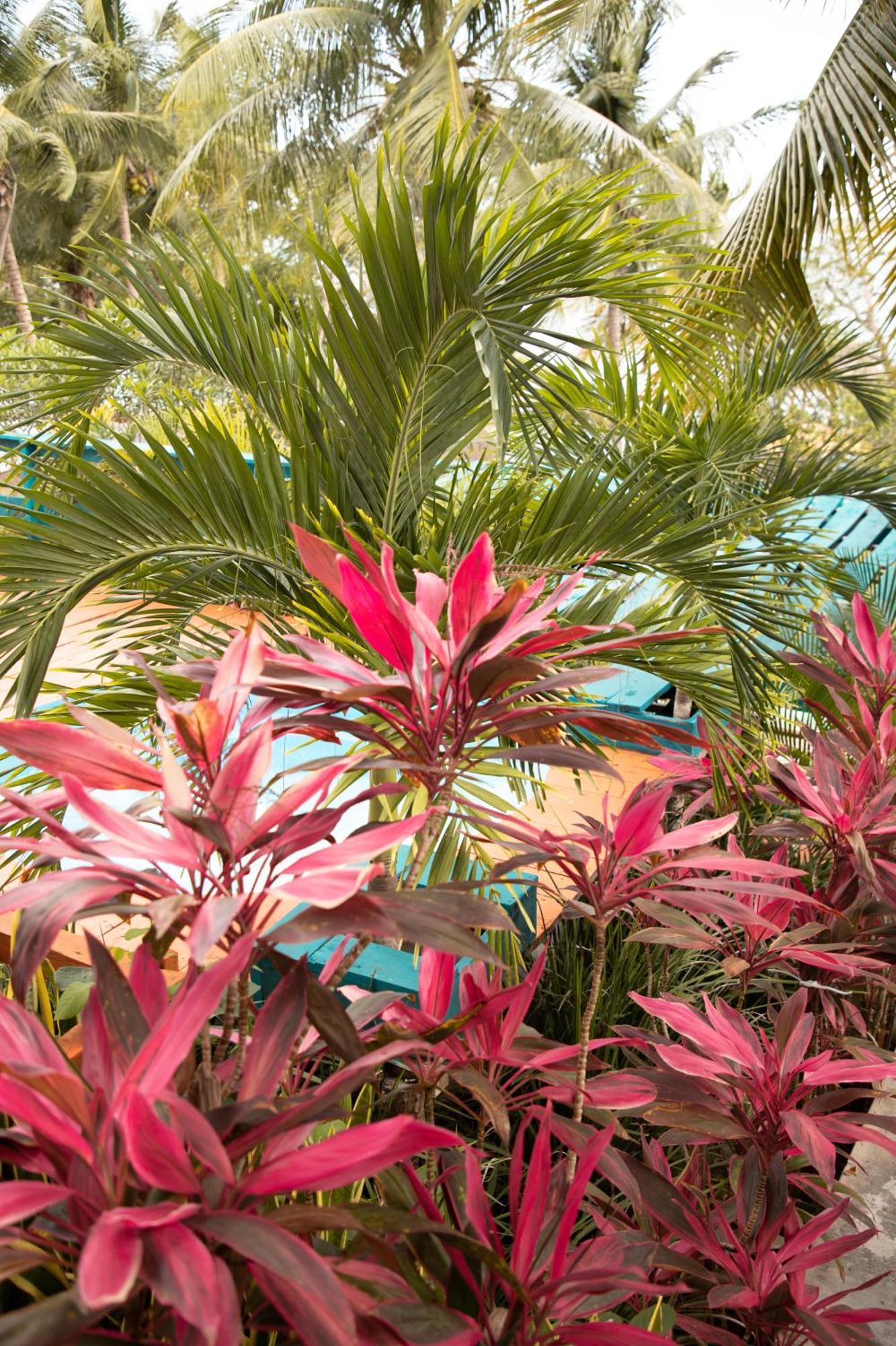 Appartement B 7 Blue Bacalar Extérieur photo
